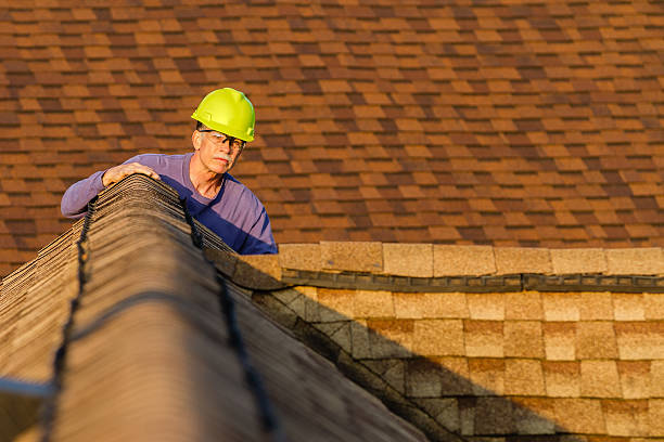 Best Storm Damage Roof Repair  in Alamo, NV