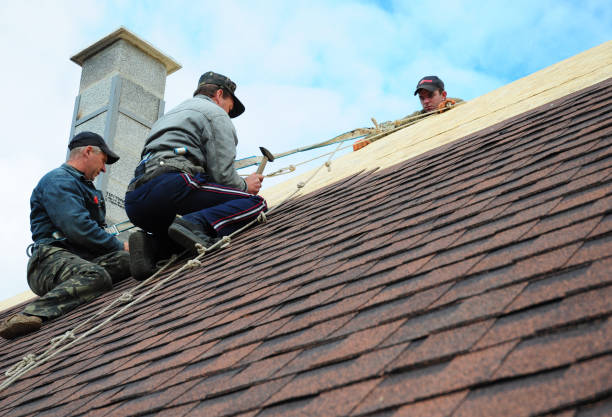 Roof Gutter Cleaning in Alamo, NV